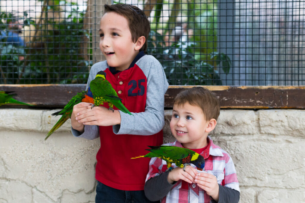 Bird Kingdom159 Attractions Ontario