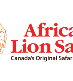 African Lion Safari Canada’s Original Safari Adventure