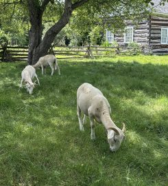 Lang Pioneer Village Museum