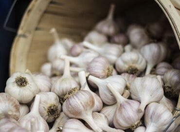 Toronto Garlic Festival