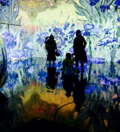 Immersive Van Gogh Exhibit