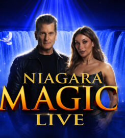 Greg Frewin Theatrical Centre