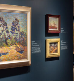 McMichael Canadian Art Collection