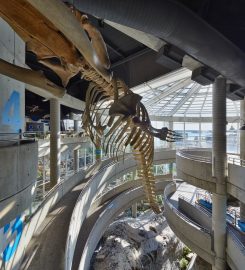Science North