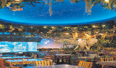 Rainforest Cafe Niagara Falls