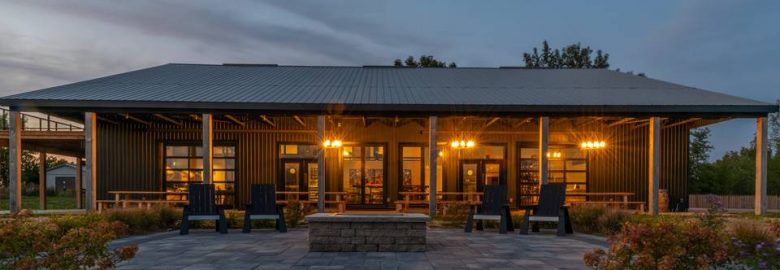 Queenston Mile Vineyard
