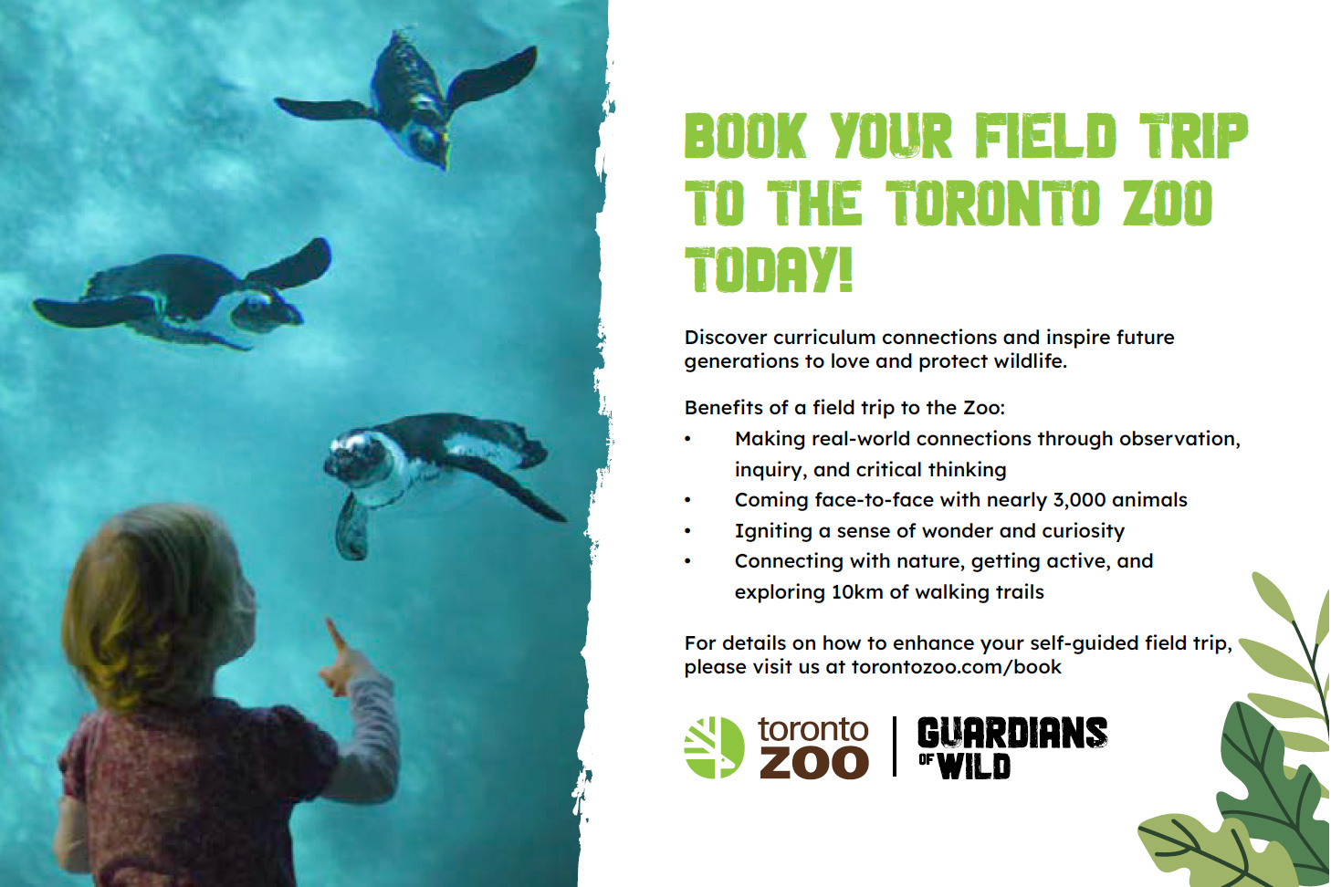 toronto_zoo_ad_26