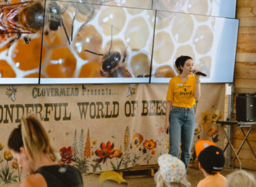 Clovermead Adventure Farm