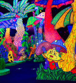 Kitchener Putting Edge – Glow-in-the-Dark Mini Golf