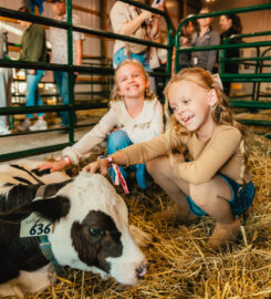 Caledonia Fair