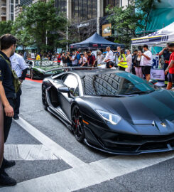 Yorkville Exotic Car Show