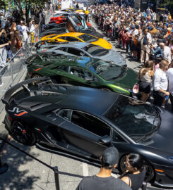 Yorkville Exotic Car Show