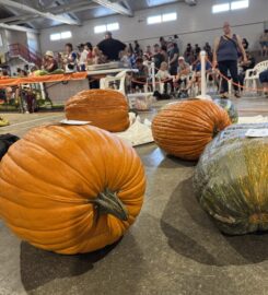 Port Elgin Pumpkinfest