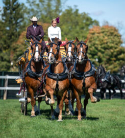 Norfolk County Fair and Horse Show