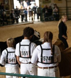 Norfolk County Fair and Horse Show